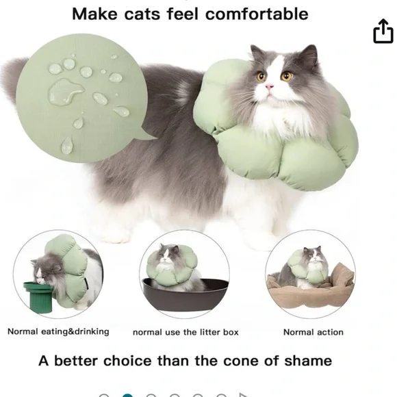 Cat cone collar