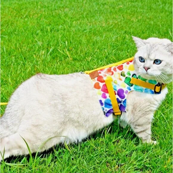 PATIPATRON Cat Harness and Leash Set Cats Escape Proof Adjustable Size M