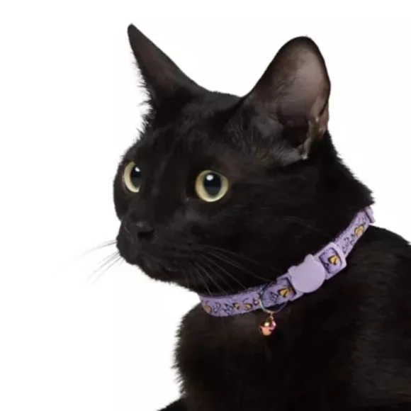 Whisker City NWT Purple Exclusive Butterfly Print Easy Release Adult Cat Collar