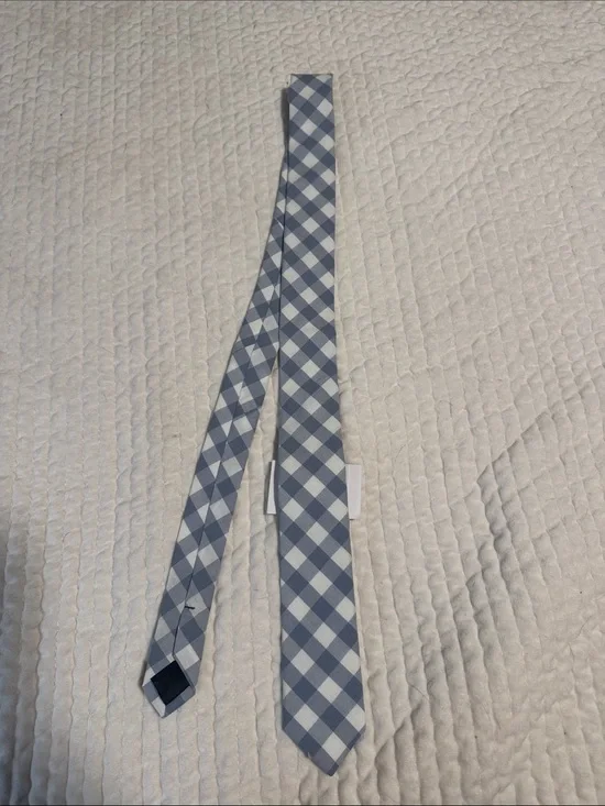 Crewcuts Blue and White Gingham Necktie
