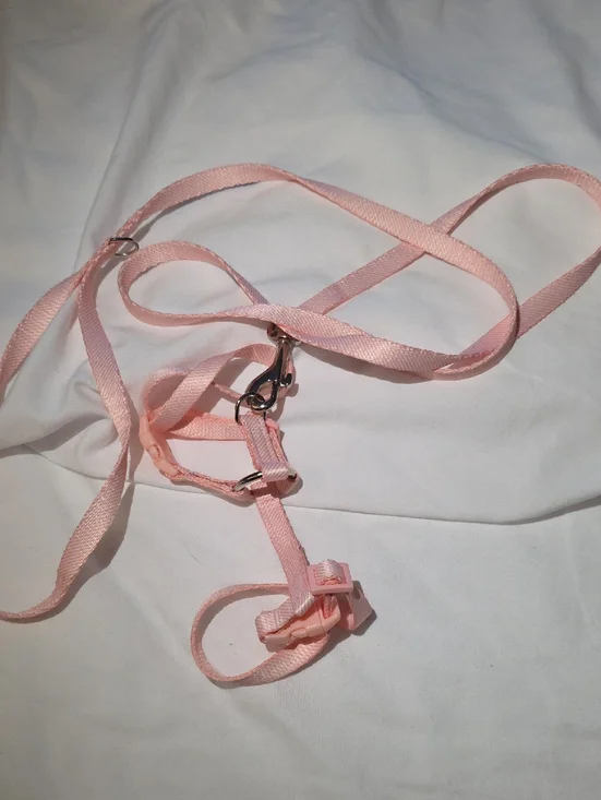 Bond & Co Pink Kitten Harness and Lead Set with Clip Neck 8-12 Inches