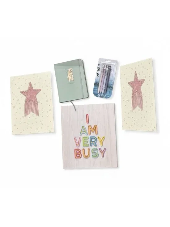 Stationery Set With Binder, 2 Folders with Pockets, Journal & Uni-Ball Pens