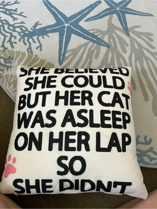 Cute pillow for cat lovers!