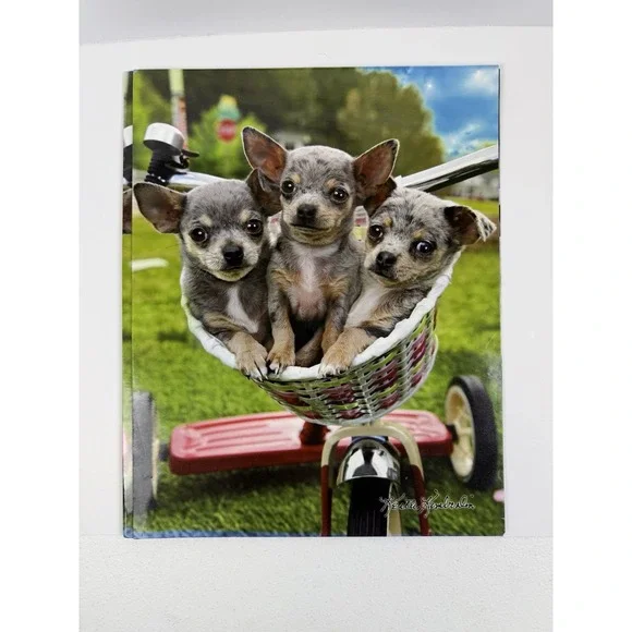 Vintage Keith Kimberlin School File Folders Cute Chihuahuas in basket New