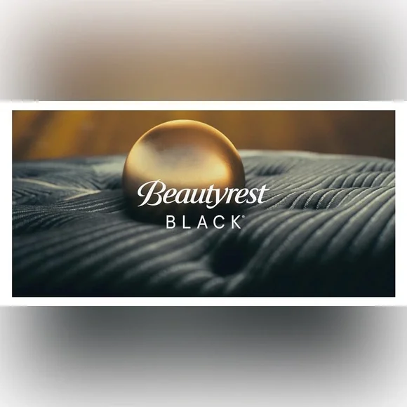 🎉LAST CHANCE🎉BEAUTYREST BLACK 2pk Luxurious Down Alternative Pillows