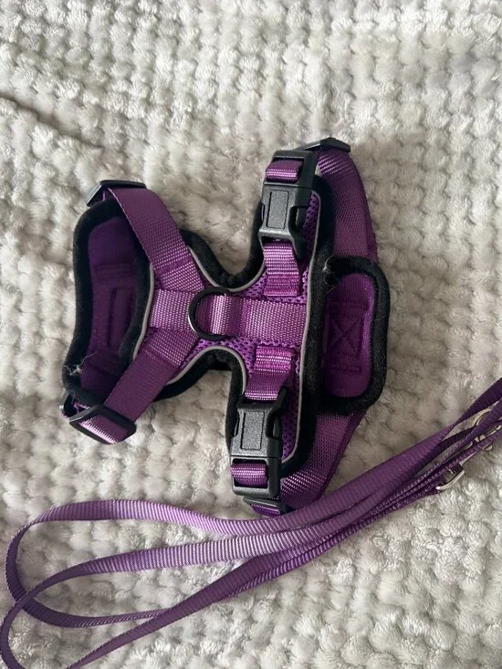 rabbitgoo Cat Harness and Leash for Walking, Escape Proof Soft Adjustable Vest