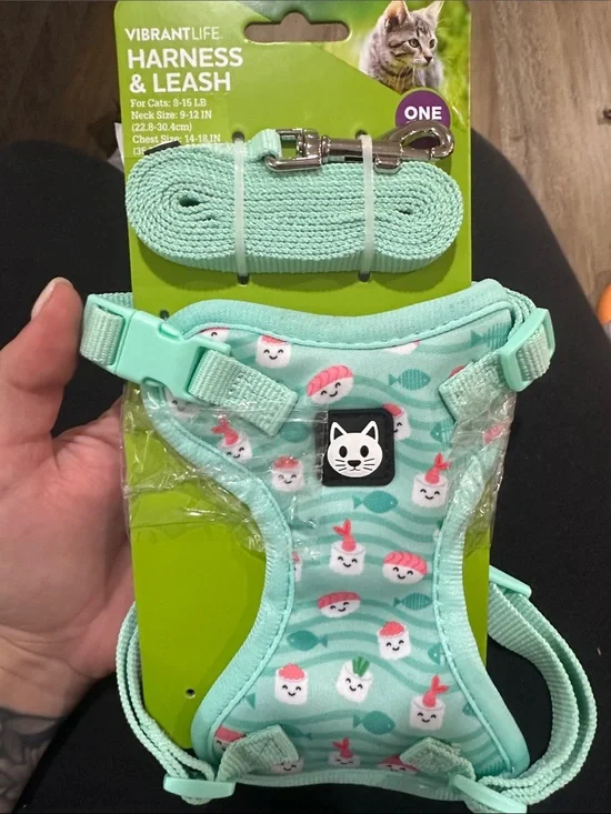 Mint Cat Harness & Leash with Cute Sushi Print