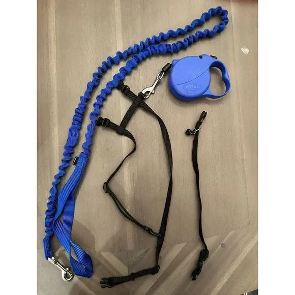 Retractable Leash, Bungee, Harness, Collar Small Dog or Cat Blue/black flexi mi