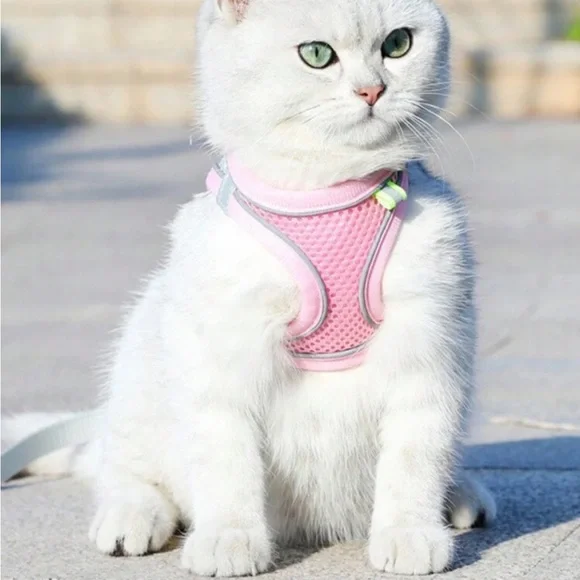 Pink Mesh Cat/Small Dog Harness