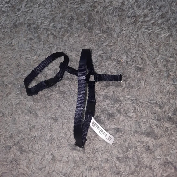 Pet harness