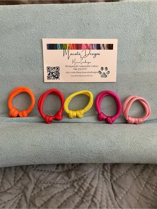 Neon puppy/kitten Collar Ring Set — Orange, Red, Yellow, Fuchsia, Light Pink