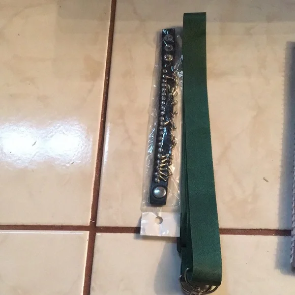 NWT Pet Collar and Leash