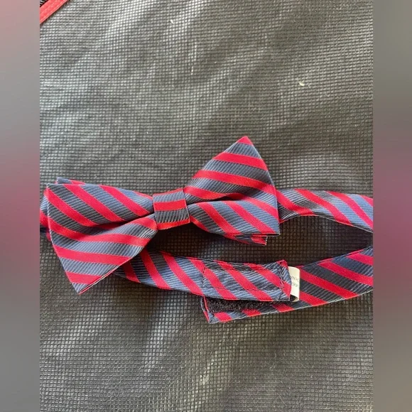 Red and Blue Striped Bow Tie