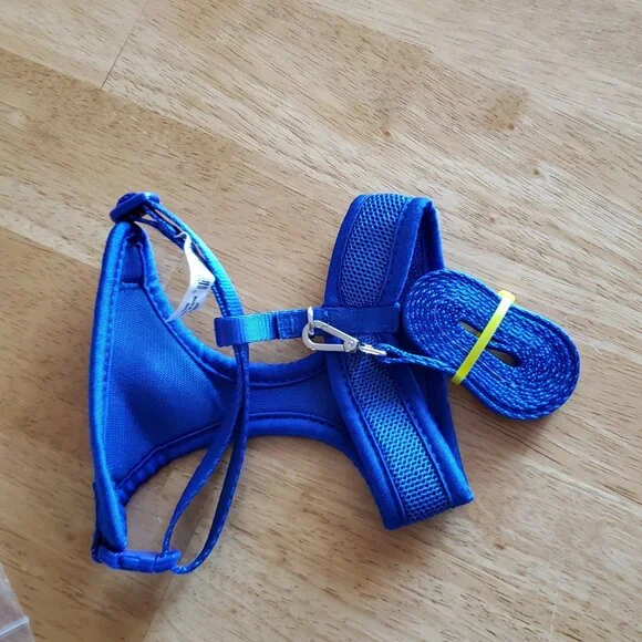 NWOT BLUE Halter with 5ft leash. Small