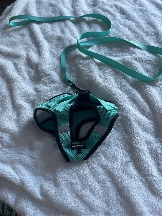 Cat harness and leash
