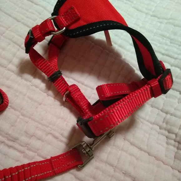 Red Cat Harness and Leash Set