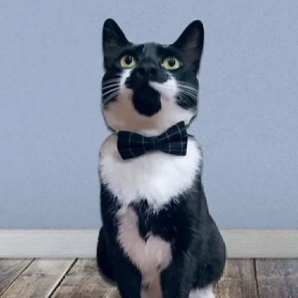🍒 Gentleman's Plaid Bow or Tie Collar
