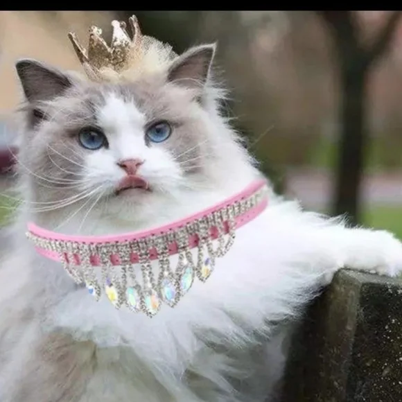 Pink Rhinestone Pet Collar