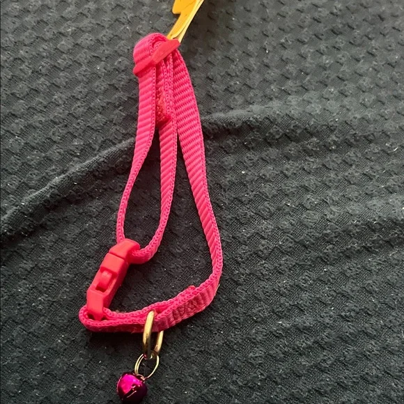 Vibrant Pink Cat Collar with Bell