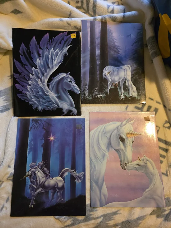 Lot Of 4 Vintage Mead Fantasy Portfolio Folders Unicorn Susan J Dawe 1980s