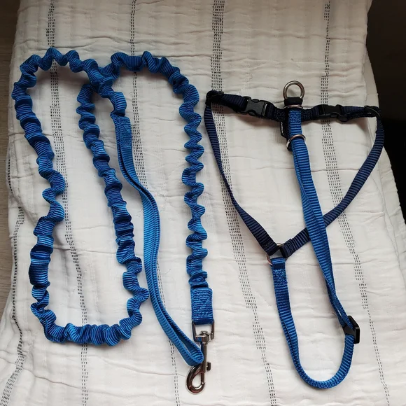 Pet Safe Blue Cat Harness & Leash Set XL