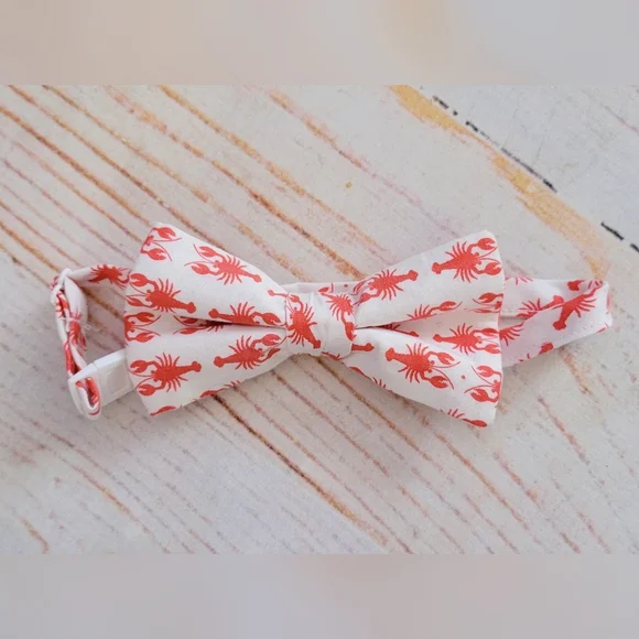 Trendy Ties Naurical Lobster Kids Bow Tie