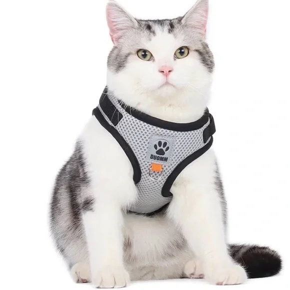 Dog/Cat Harness for Walking Escape Proof, Harness for Small Dog/Cat- New