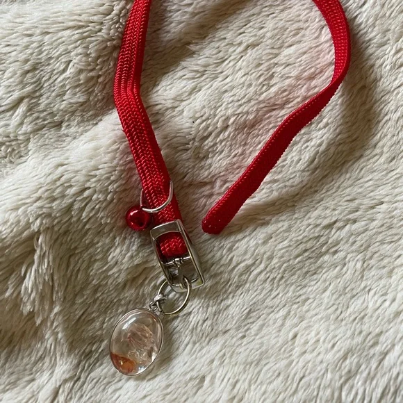 Cat pet collar with clear pendant, 13” chain. Beautiful Pendant can be detached.