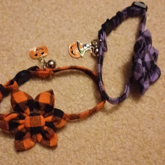 NWT Cat collars