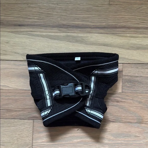 Black Cat Harness and Leash Set