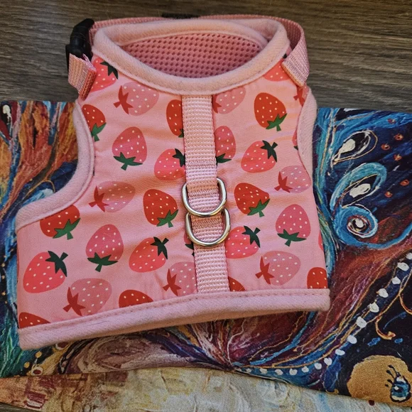 Strawberry Cat vest