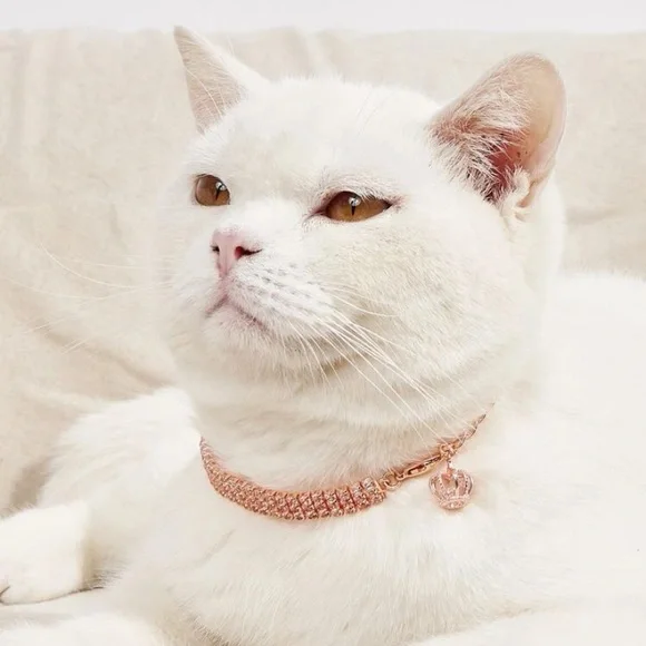 Crown Pendant Rhinestone Pet Necklace