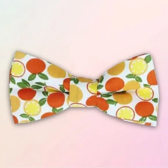 Trendy & Bright, Youth Adjustable Fruity Bow Tie, Assorted, One Size