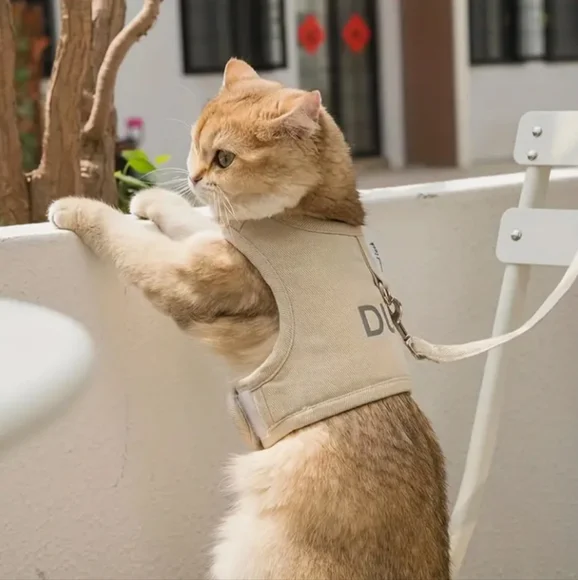 Cat Harness