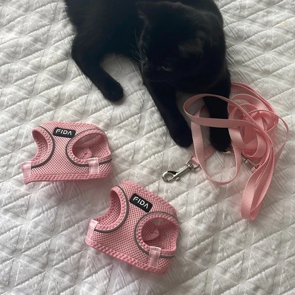 Pet Harnesses and Leashes (2 available)