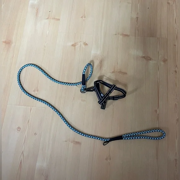 2 Separate Cat Harnesses with Leash