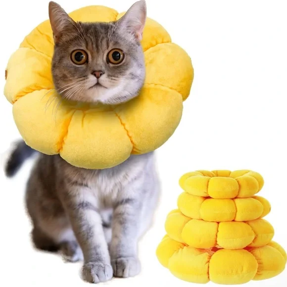 Recovery collar for small dogs and cats 🐱🐶