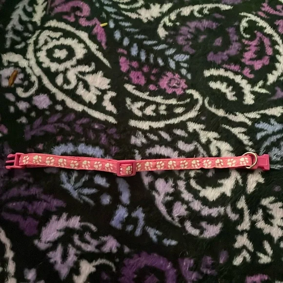 Cat collar