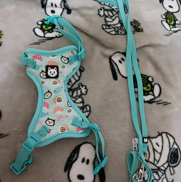 cat leash