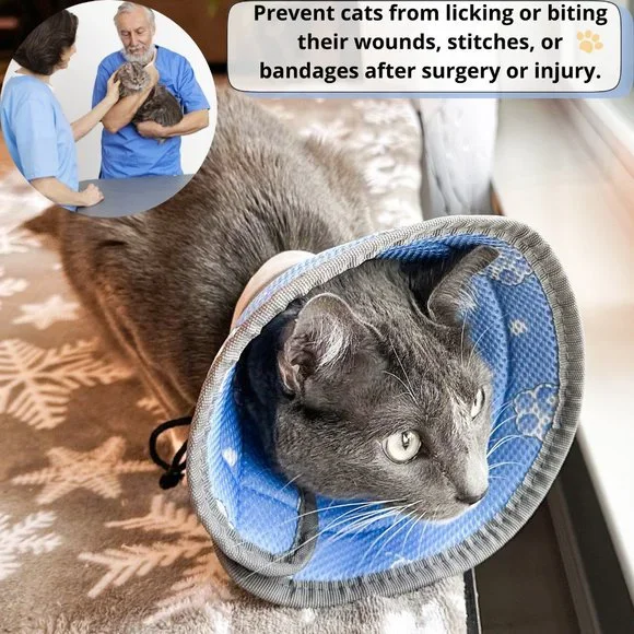Soft Cat Cone Collar, for Small Kittens Young Cats, E Collar for Cats, cat cone