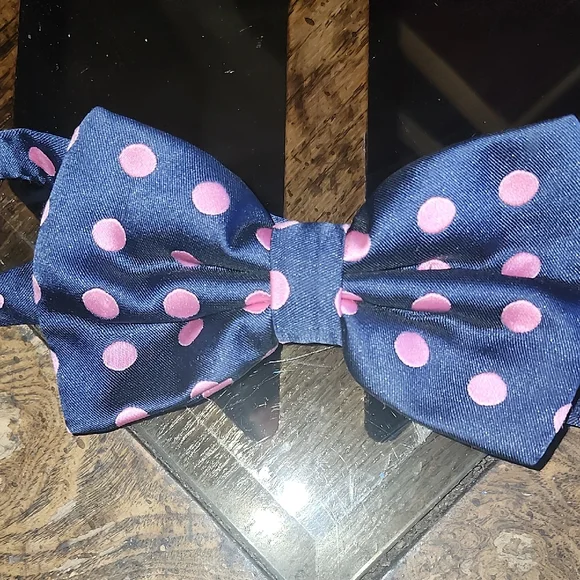 Charming Kids Bow Tie in Navy and Pink Dots