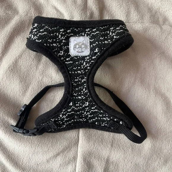 Kitten Harnesses(2) and Leash