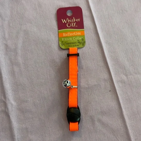 Orange kitten collar