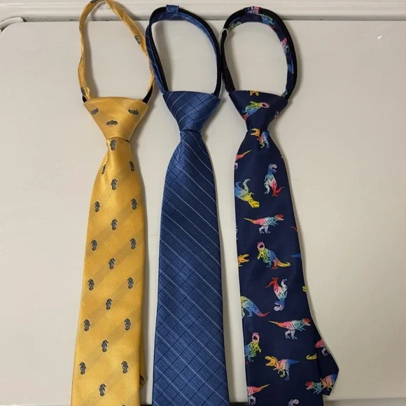 Kids Dinosaur and Patterned Ties Set