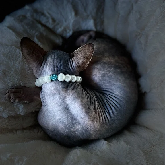 Magnetic clasp cat necklace/dog necklace