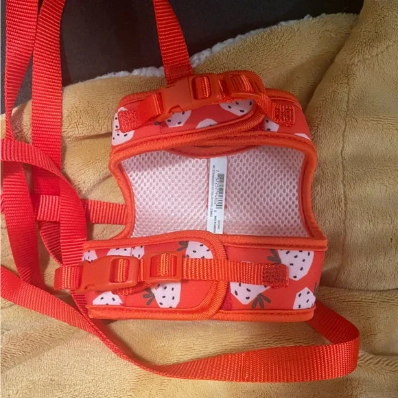 Kitten Harness