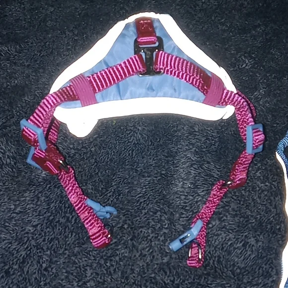 Kitten harness