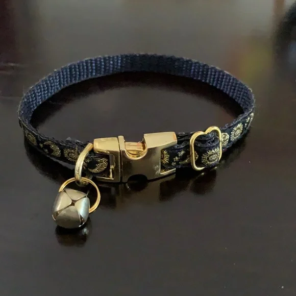 New Collar for Cat