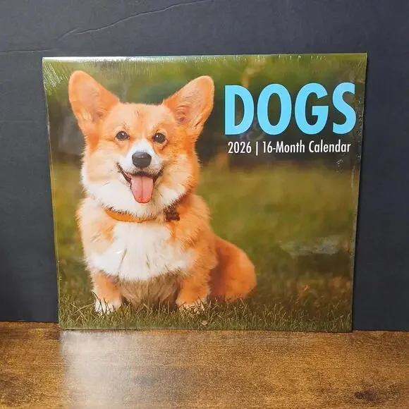 DOGS 2026 16-Month Wall Calendar, 11inx10in