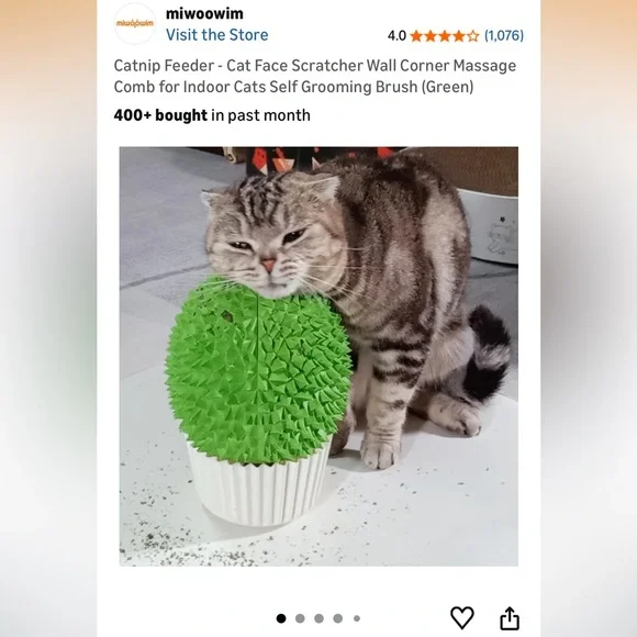 Cat Catnip Self Grooming Brush